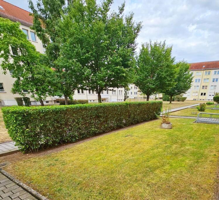 Ferienwohnung Weißenfels المظهر الخارجي الصورة